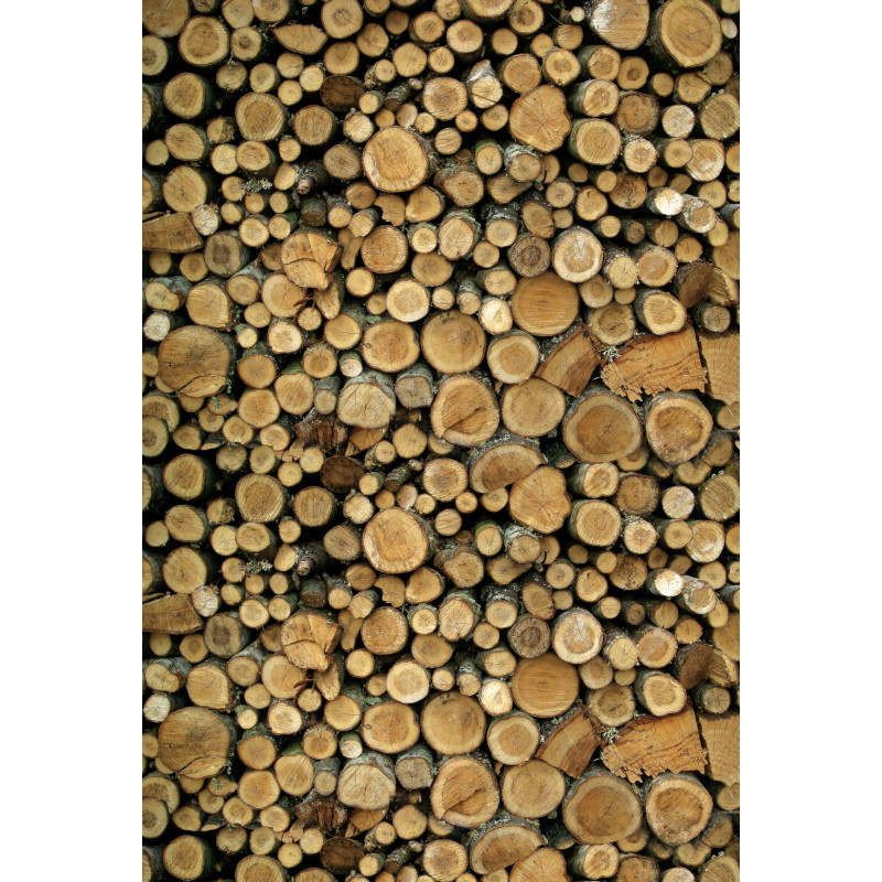 Papier do scrapbookingu - Wzór Drewna 5 Papier do scrapbookingu - Wzór Drewna 5