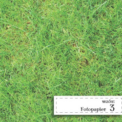 Fotopapier 3 - Zielone Trawka