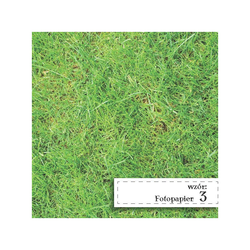 Fotopapier 3 - Zielone Trawka Fotopapier 3 - Zielone Trawka