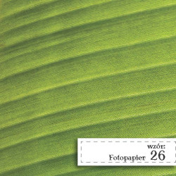 Fotopapier 26 - Liść
