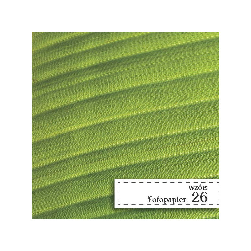 Fotopapier 26 - Liść Fotopapier 26 - Liść