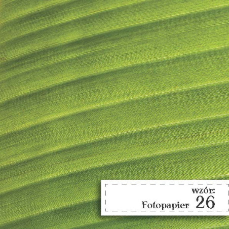 Fotopapier 26 - Liść