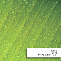Fotopapier 27 - Krople Rosy
