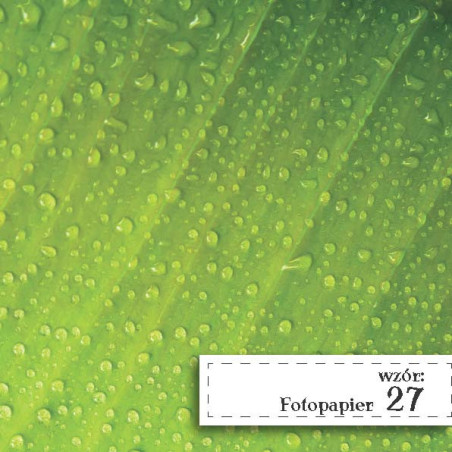 Fotopapier 27 - Krople Rosy