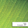 Fotopapier 27 - Krople Rosy