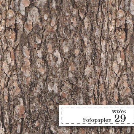 Fotopapier 29 - Kora