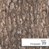 Fotopapier 29 - Kora