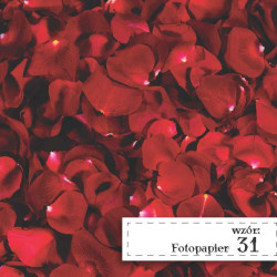 Fotopapier 31 - Płatki róży