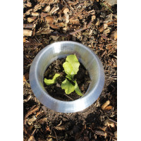 Kołnierz antyślimakowy do sałaty, ogórków i innych roślin