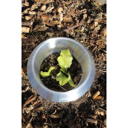 Kołnierz antyślimakowy do sałaty, ogórków i innych roślin Kołnierz antyślimakowy do sałaty, ogórków i innych roślin