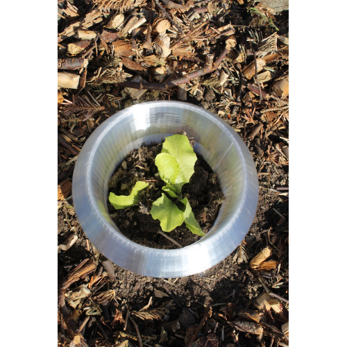 Kołnierz antyślimakowy do sałaty, ogórków i innych roślin Kołnierz antyślimakowy do sałaty, ogórków i innych roślin