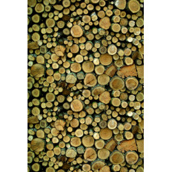 Woodfront wzór 2