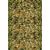 Woodfront wzór 2