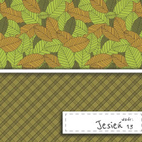 Papier do Scrapbookingu – Wzór Jesienny 13 | Satyna 200 g/m²
