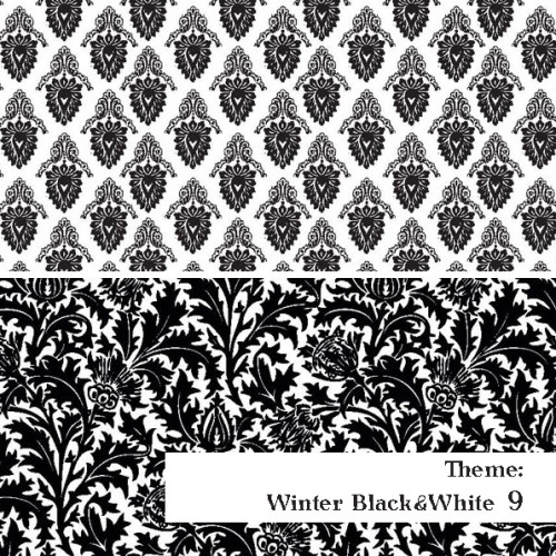 Czarno-BIała Zima - wzór 9