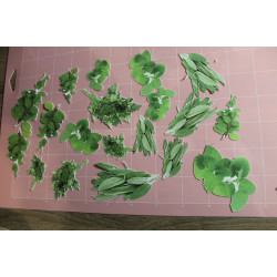 Komplet scrapek – zioła | Zestaw 23 papierowych scrapek