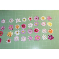 Komplet papierowych scrapek – kolorowe kwiaty | zestaw 25 elementów